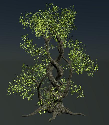 Intertwined Tree preview image